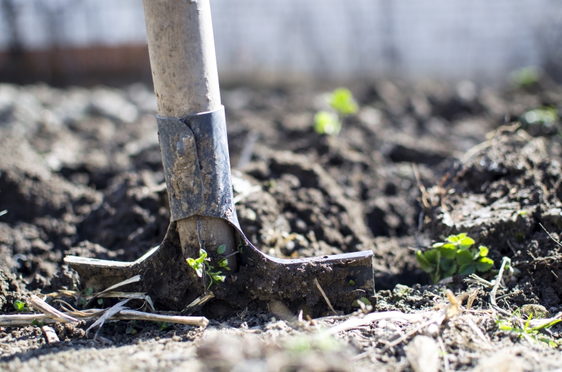 jardinerie-TOUDON-min_equipment-2047314